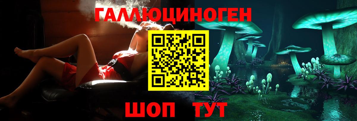 Жигулёвск  Галлюциногенные грибы Psilocybine cubensis  Галлюциногенные грибы Cubensis  Вход с VPN 